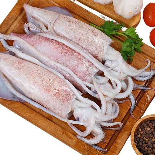 Large Calamari