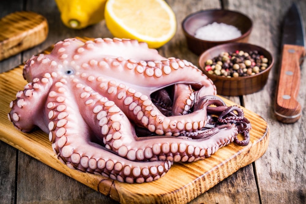 Octopus (Pweza)